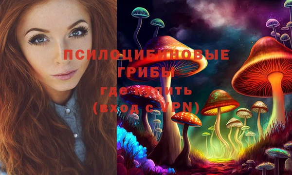 кокс Армянск